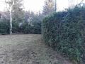 Apartman Masa Zlatibor centar