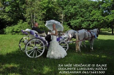 KOCIJA ZA SVADBE