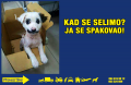 Selidbe Beograd Najbolje Cene