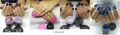 City nails vozdovac