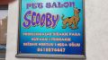 Pet salon SCOOBY, Požarevac, Kosovska 87