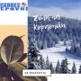 Kombi prevoz putnika do Kopaonika