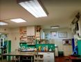 Dezurni veterinar Zemun