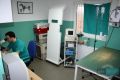 Dezurni veterinar Zemun