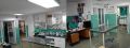 Dezurni veterinar Zemun