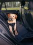 PET TAXI – SAPOPREVOZ