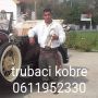 Profesionalni trubači Beograd - Kobre 06