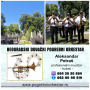 Trubači, pogrebni orkestar, muzika, sahr