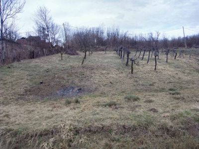 Održavanje zelenih površina