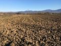 Zemljiste, Veliko Laole